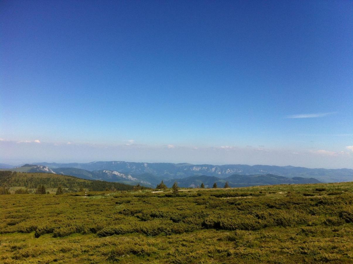Pensiunea Skiland Muntele Baisorii Bagian luar foto