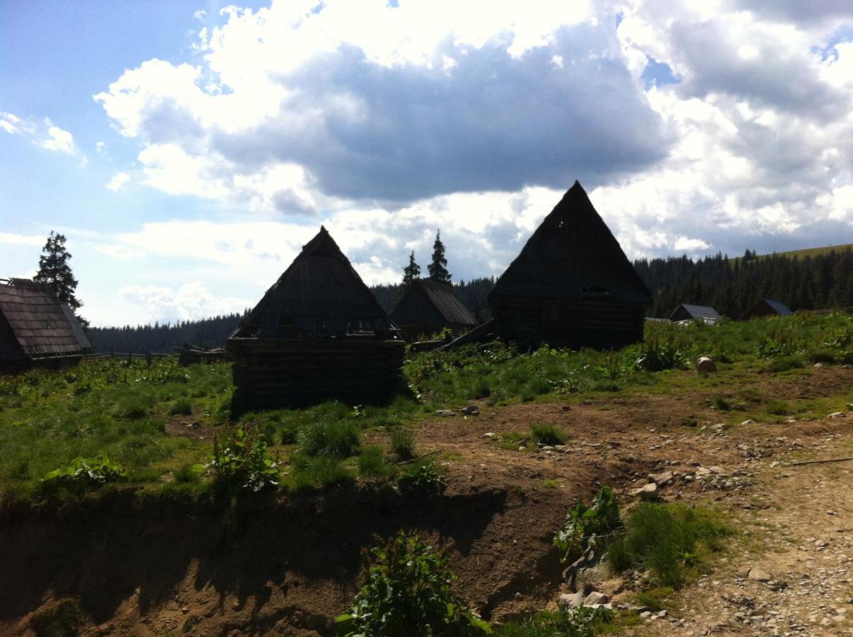 Pensiunea Skiland Muntele Baisorii Bagian luar foto