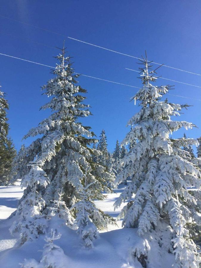Pensiunea Skiland Muntele Baisorii Bagian luar foto